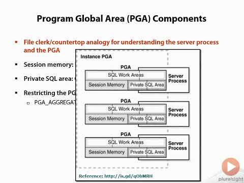 01 08Oracle Database 12c Fundamentals   Program Global Area Components