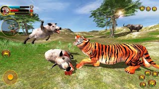 Wild Tiger Survival - Animal Simulator Tiger Vs Lion Android Gameplay #4 | Dishoomgameplay screenshot 4