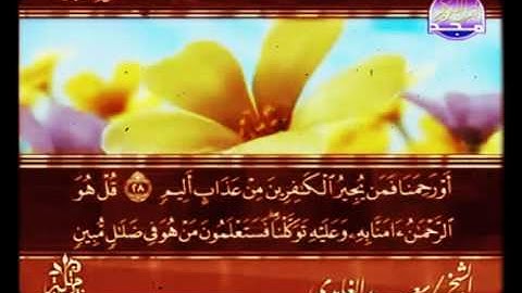القرآن الكريم الجزء التاسع والعشرون للقارئ سعد الغامدي