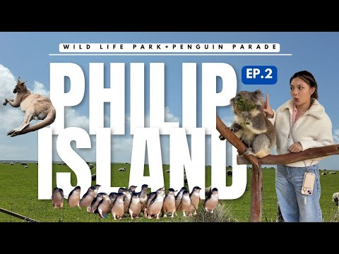 🇦🇺 EP.2 Phillip island เกาะเล็กๆที่มีทั้งจิงโจ้ โคอาล่า เพนกวิน น้องๆน่ารักม๊ากกกกก |giftK.pitcha