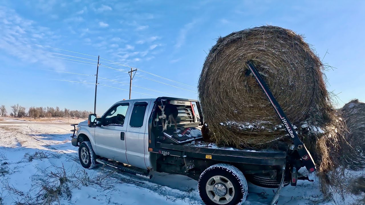 Snow Day On The RANCH! - YouTube