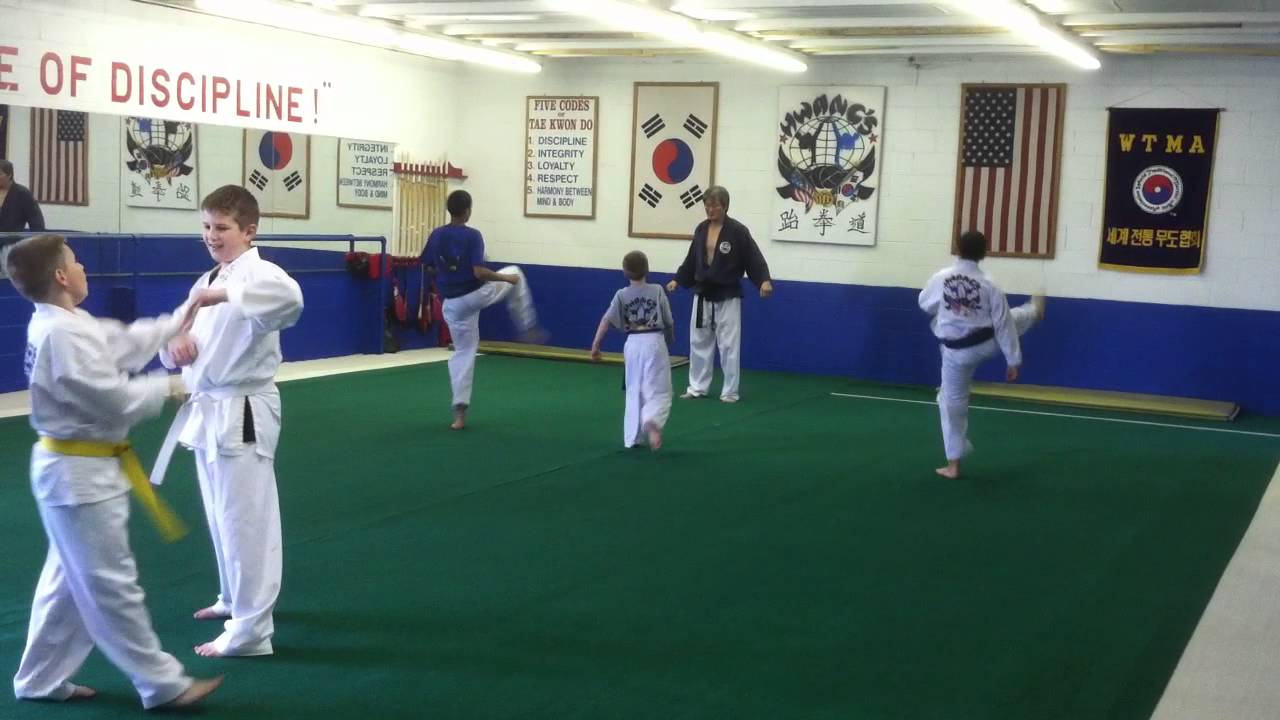 Tae Kwon Do, Red Belt Testing Form, Master Hwang's YouTube