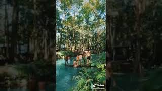 Ayo mampir ke welcome tu otak aik tojang 🥰🥰