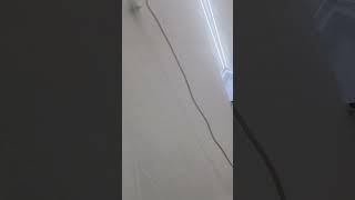 such a random cable in my room lol 😂 #randomness #random #sunny #funny #brainrot