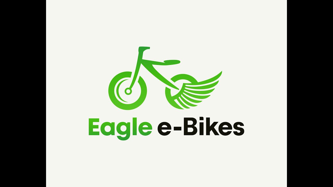 Hi Flying Fat TOP 020 Electric Bicycle - 2022 model