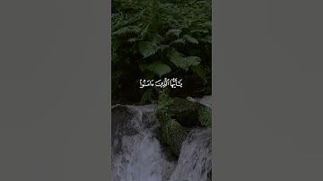 ﴿إِنَّ اللَّهَ وَمَلائِكَتَهُ يُصَلُّونَ عَلَى النَّبِيِّ﴾  القارئ بدر التركي
