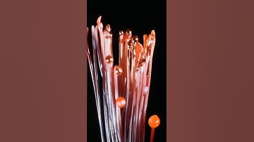 Сable and fire | Macro #satisfying #macro #asmr #asmreating #closeup #zoom #experiment