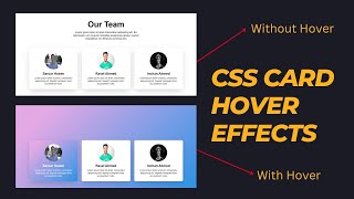 CSS Card Hover Effects HTML CSS | Responsive Our Team Section HTML CSS  | CSS Box Hover Effects