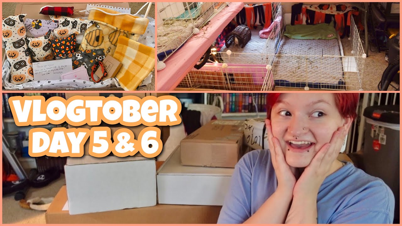 opening random packages & rearranging my pet room🤪 | vlogtober day 5 & 6 |