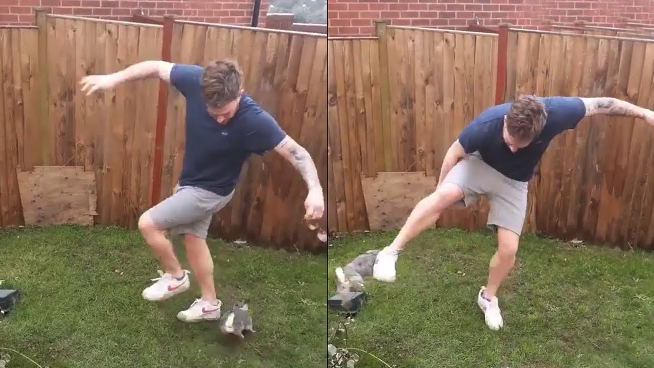 Angry Rabbit Attack Man out of his Own Garden || WooGlobe Funnies