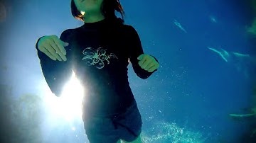 Swim , Comedy – funny – whats app – facebook – ALLMIX - YouTube intro, video 999