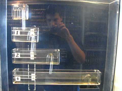 Binary counter using water