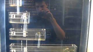 Binary counter using water