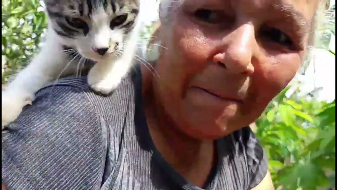 Colocando água nas plantas 🪴