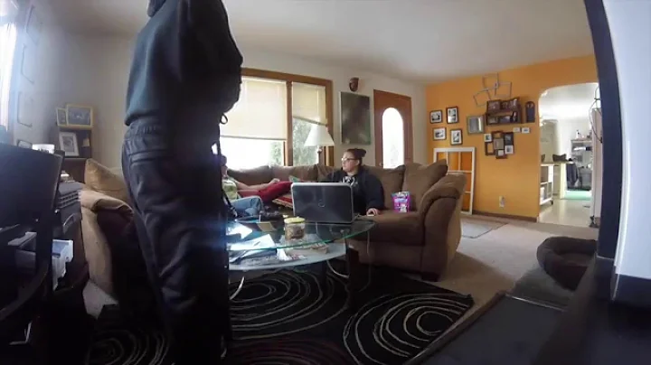 Introduce Aggressive Dogs to Guests/Strangers (In ...