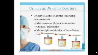 Unit 4A Urine Analysis