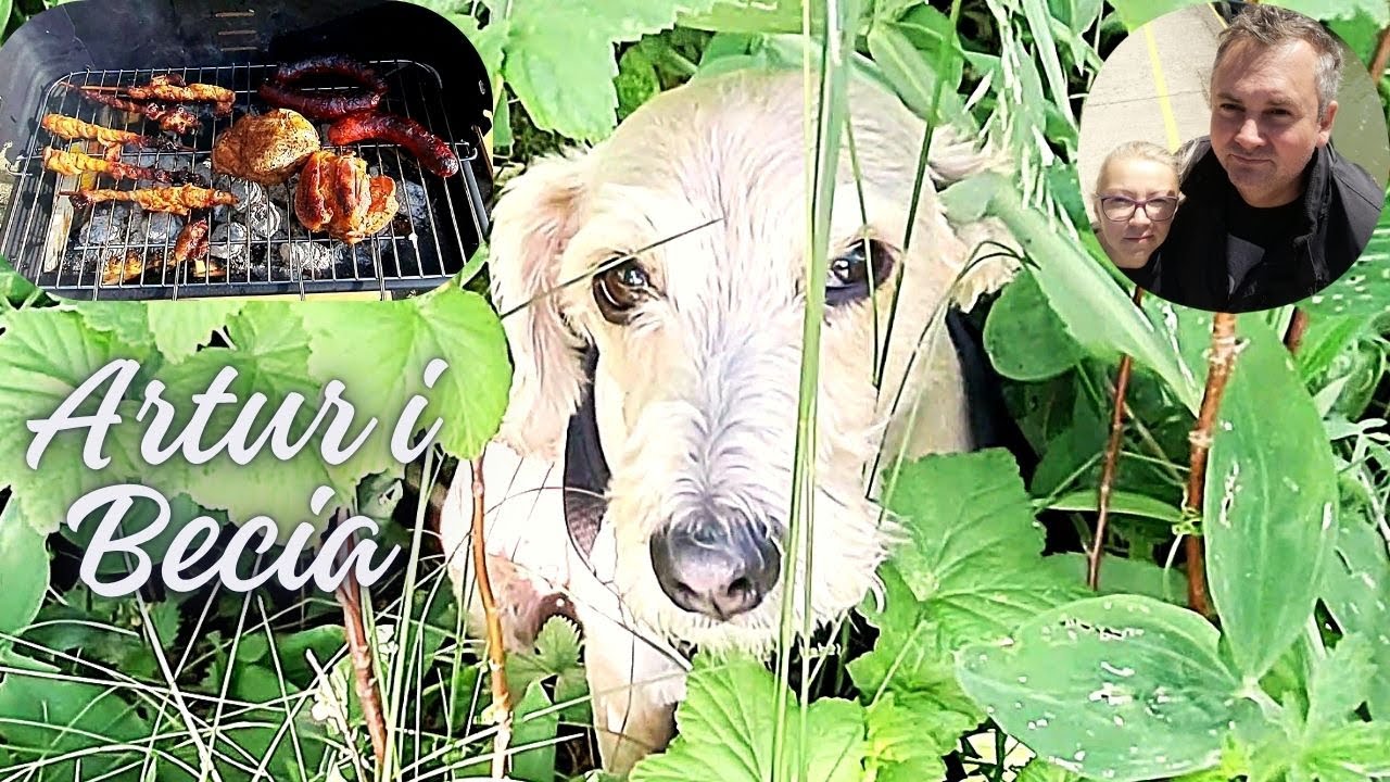 Fruzia uskutecznia krzakoterapię. Pierwsza i ostatnia czereśnia w sezonie.