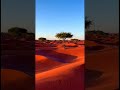 Red Dunes & Scattered Trees | Sunrise Over the Savanna Sands