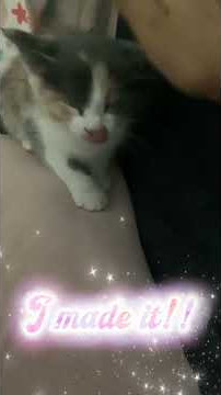 copy B2841712 18F5 4520 96D0 E5BE38FBEAF4