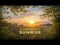 Beautiful Sunrise in Village | Cinematic 4K Nature Video 