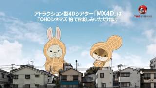 ＴＯＨＯシネマズ柏　2016年4月25日（月）グランドオープン！