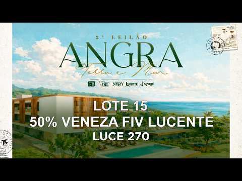 LOTE 15 -  50% VENEZA FIV LUCENTE   LUCE 270