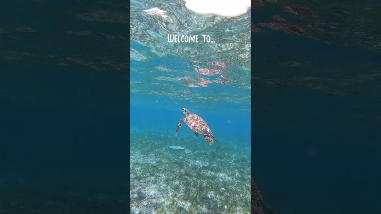 In love with Gili Air 🐢🌊 