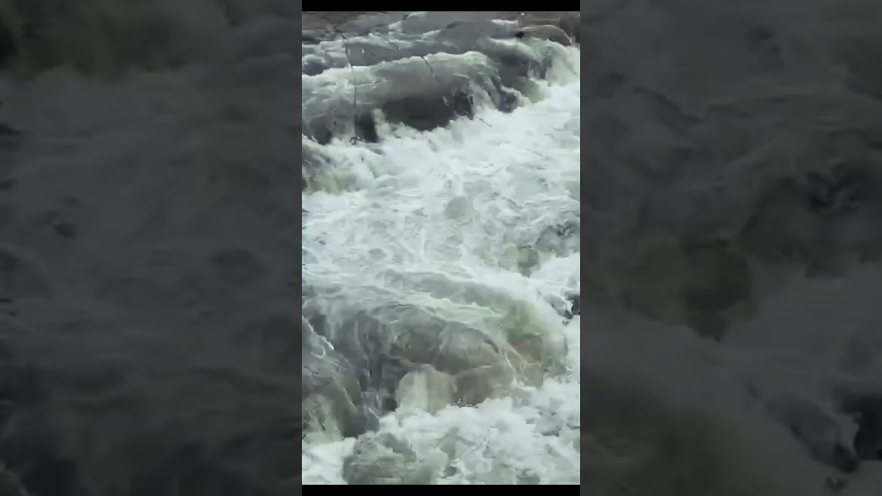 **Шок! Gallup скрывает антирекорд Трампа: всего 10% одобрения 😱📉**  