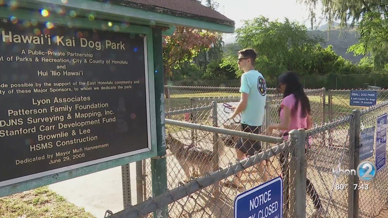 Honolulu City Council votes to rename Hawaii Kai Dog Park after Elaine