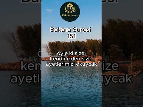 GÜNÜN AYETİ KUR-AN AYETLERİNDEN BAKARA SURESİNDEN BİR AYETİ KERİME  #dua #kuran #allah