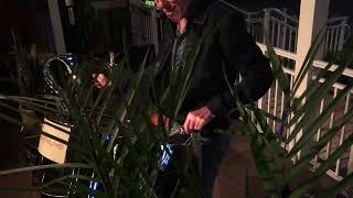 Kiss From A Rose - Patrick Frost, Steel Pan