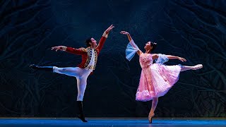 The Nutcracker: Clara & The Nutcracker Variation