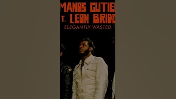 Thumbnail of Hermanos Gutiérrez, Elegantly Wasted (Lyrics - Chorus)