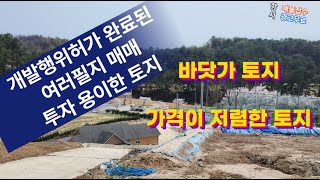 바닷가 가까운 강릉시 안현동 전원주택지 매매.#강릉전원주택매매 #강릉전원주택지매매 #강릉부동산매매 #개발행위허가토지매매 #강릉싼토지