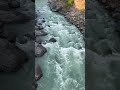 Sometimes silence says what words can’t. #river #youtubeshorts #travel #devprayag #sukoon