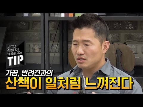 가끔 &amp;#39;반려견 산책&amp;#39;이 <strong>숙제처럼</strong>, 일처럼 느껴지시나요?｜강형욱 X 이승인 누가