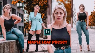 Maple leaf preset DNG||how to edit photos in Lightroom||Lightroom||editing screenshot 4