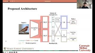 Limitation in Concept Bottleneck Models - Residuals and Vector Disentanglement | Konghao Zhao Wealth