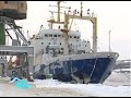 Траулер «Янтарный» доставил в Мурманск заполярный деликатес – 3350 тонн мойвы