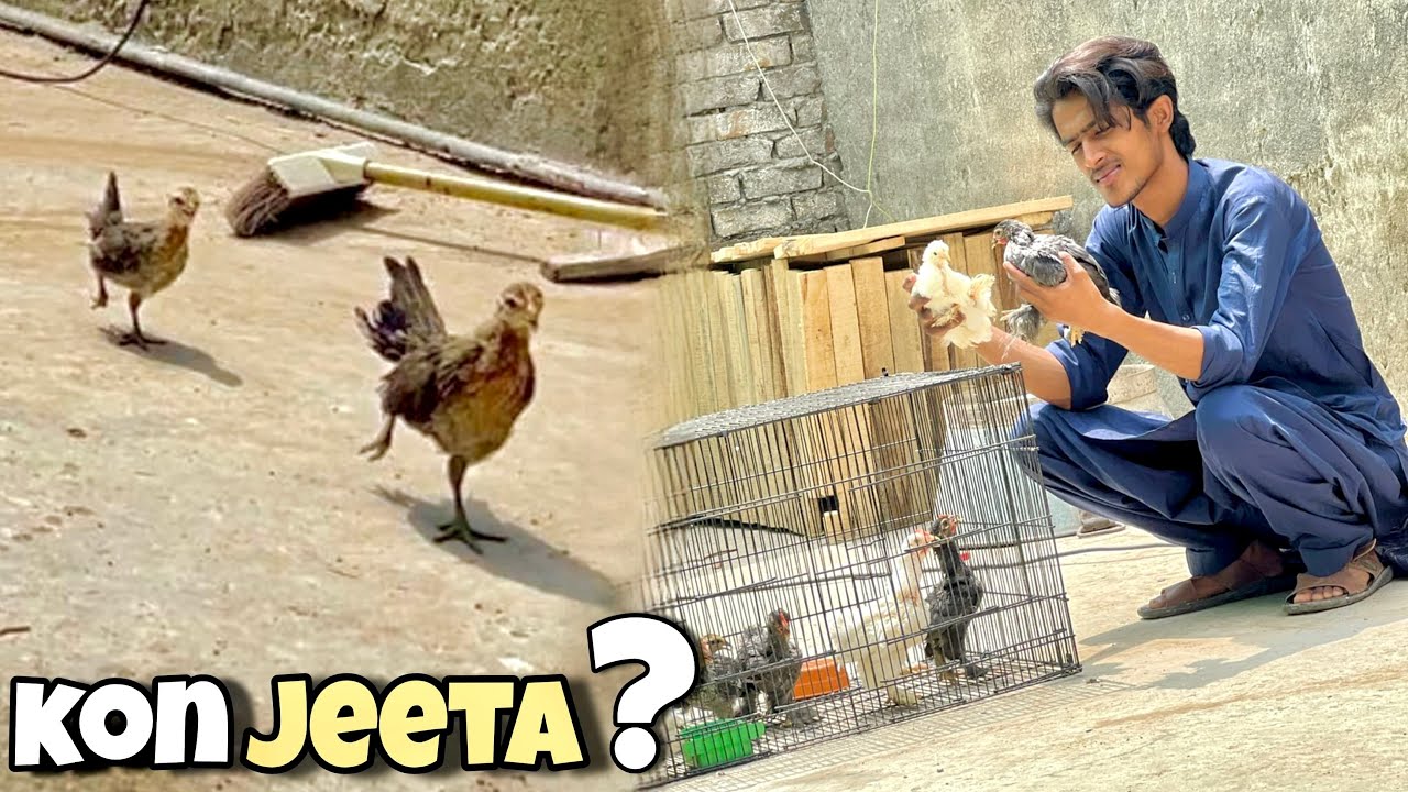 Sary Chuzo Ki Race Kara Di😂😍