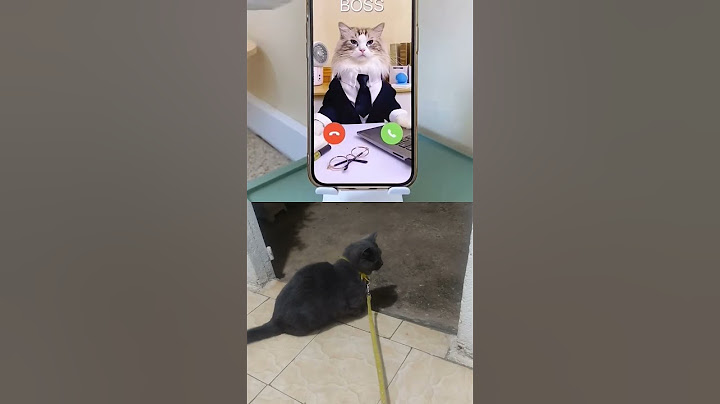 Puff’s guide on handling weekend calls from the boss! #BossBoundary #WeekendWarrior #thatlittlepuff