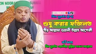 ওযু করার ফলিত - wali ullah aseki hojur || bd waz