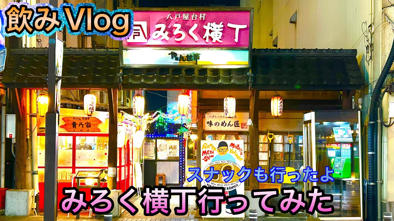 【Vlog4】みろく横丁1人飲み〜スナックとbarも行ってきた〜