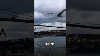 Allahuallah Allahuallah Allahuallah Allahuallah Allahuallah Allahuallah Allahuallah