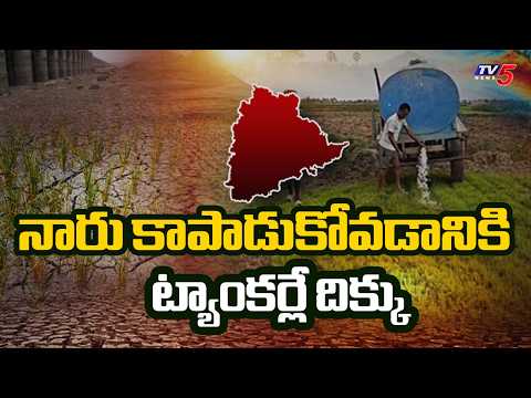 పంటలు ఎండకుండా రైతుల పోరాటం | IMD Low Rainfall Alert for Next 3 Months | TV5 News - TV5NEWS
