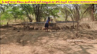 Rmc Monkey Catcher ..238 Monkeys Caught In One Day Watch The Full Video