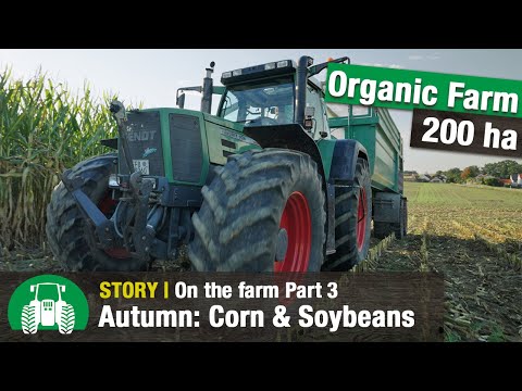 Organic Farm Breitsameter Part 3: Maize and soybean harvest | Bichler Organic Farm | John Deere