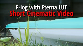 F-log graded w/ Fujifilm Eterna LUT | Film Simulation | Cinematic Video | 4k | Nature Photography screenshot 5
