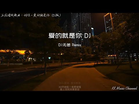 刘佳 - 爱的就是你（DJ版）『我已经爱上她真实的表达 像喝了奇怪药水中了魔法』 【动态歌词/Pinyin Lyrics】