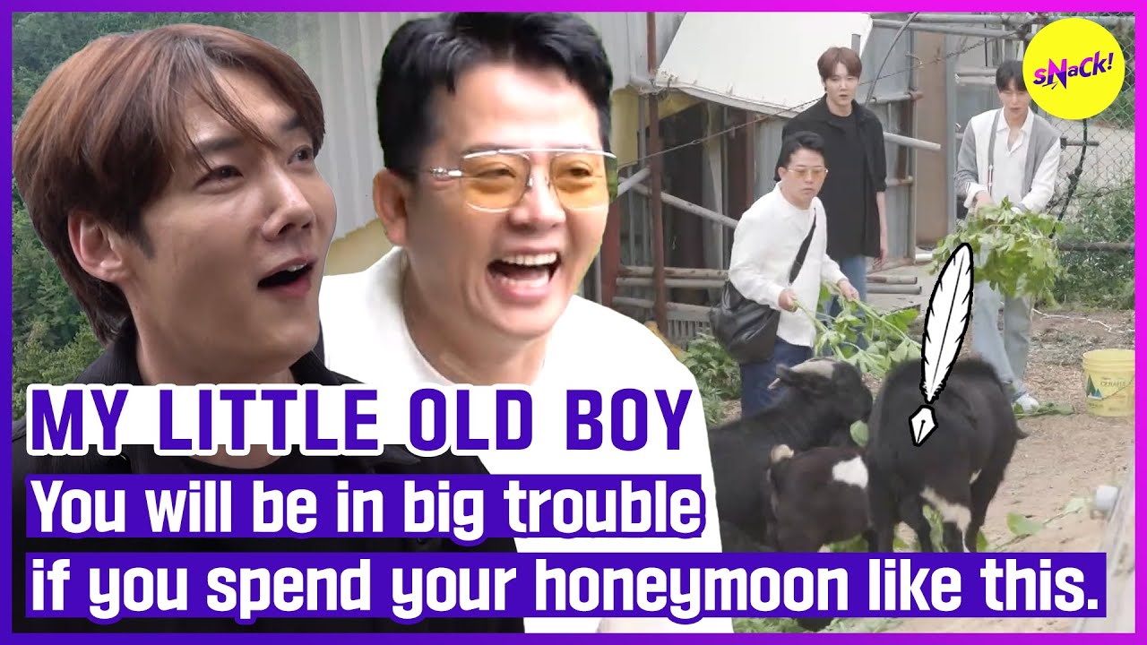 [MY LITTLE OLD BOY] You will be in big trouble if you spend your honeymoon like this. (ENGSUB)